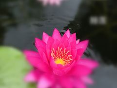 -新江湾城公园
