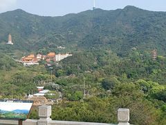 -深圳仙湖植物园