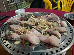 桑拿鱼-友口福(大良店)