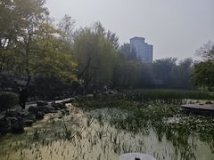 -莲湖公园