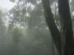 -西湖风景区十里琅珰-五云山
