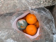 -鲜力达果品批发直销(无锡保利香槟店)