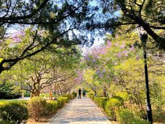 -棒棰岛宾馆景区