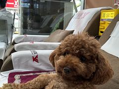 -郑远元专业修脚房(潘水路店)