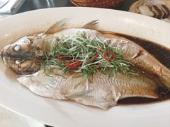 -品悦(崇明凯悦店)