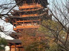 -杭州半山国家森林公园