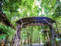 -海南槟榔谷黎苗文化旅游区