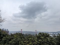 -张坝桂圆林公园