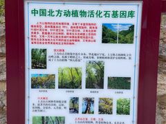 -北京上方山国家森林公园