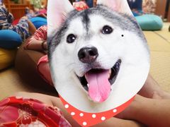 -重庆南山海昌汤都