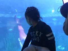-乌鲁木齐海洋馆