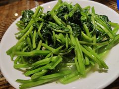 -广信传说