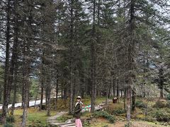 -硗碛藏寨·神木垒景区