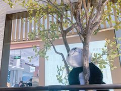 -川成元·麻辣香锅(凯德MALL西直门店)