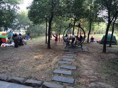 东湖落雁景区-东湖落雁景区