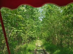 -合肥滨湖国家森林公园