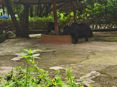 -深圳野生动物园