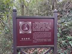 -丹山赤水风景名胜区
