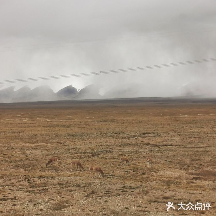 昆仑山口可可西里一日游实用攻略🏔️🦌