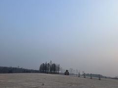 -东海森林温泉度假酒店