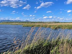 -野鸭湖国家湿地公园