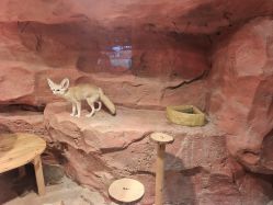 -Zoolung Zoolung动物主题公园(海信广场店)