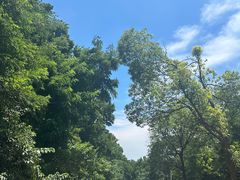 -南京市江宁方山