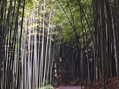 -苏州环秀晓筑养生度假村