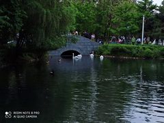 -长白岛森林公园