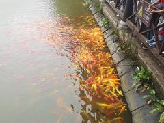 -武汉紫薇都市田园