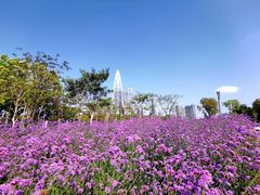 -人民公园(罗湖区)