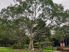 -红色娘子军纪念园