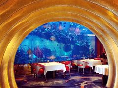 -迪拜帆船酒店海底餐厅