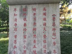 -木塔寺遗址生态公园