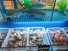 水产区-富临港·蒸汽海鲜·手抓海鲜·炒菜(栈桥店)