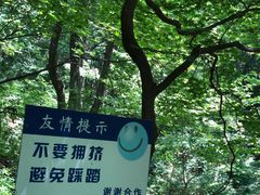 -天女山森林公园