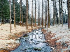 -白水寺森林公园