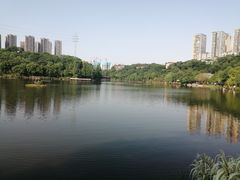 -重庆彩云湖湿地公园