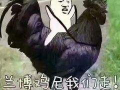 -天马岛度假区