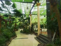 -陶然居·重庆菜(生态园店)