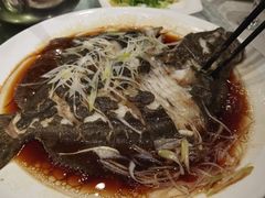 -陶然饺子城(奥体中路店)