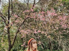 -田野绿世界