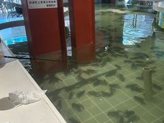 -虾胡闹龙虾馆(湄南河店)
