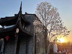 -西溪国家湿地公园