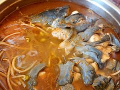 -弘烨 贵州酸汤 鱼火锅(东财店)