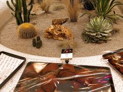 -OUR Bakery(SKP-S店)