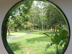 -南宁良凤江国家森林公园