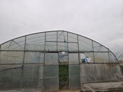 -菊园百果园