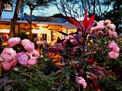 -天然居(伦教店)