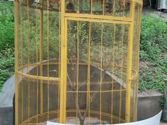 -北京鹿世界主题园